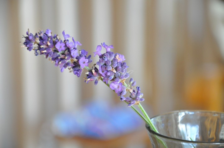 dsc_3781_s