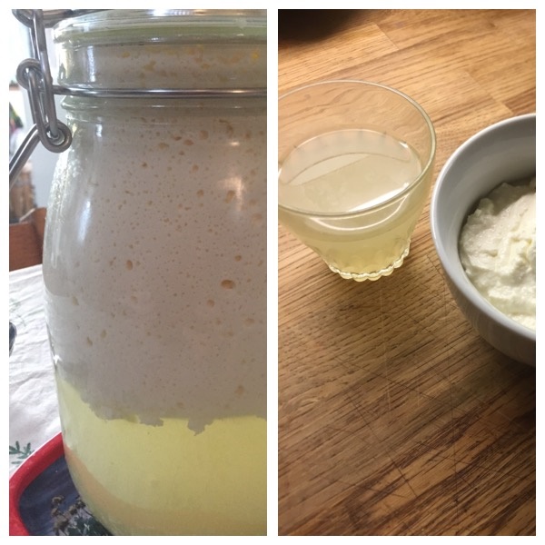 Oj då! Ingen fara kefiren delar sig i Vassle och Kassein pga det låga pH-värdet. Antingen rör man ihop det igen eller så separerar man dem och gör färskost på Kasseindelen och Åyerhämtningsdryck med lite pressad citron av Vasslen. Vasslen kan med fördel användas för att starta en syrning av grönsaker.